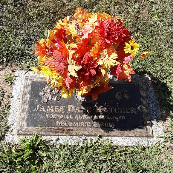 Meet your Posher, Denise - Picture 9 of 15